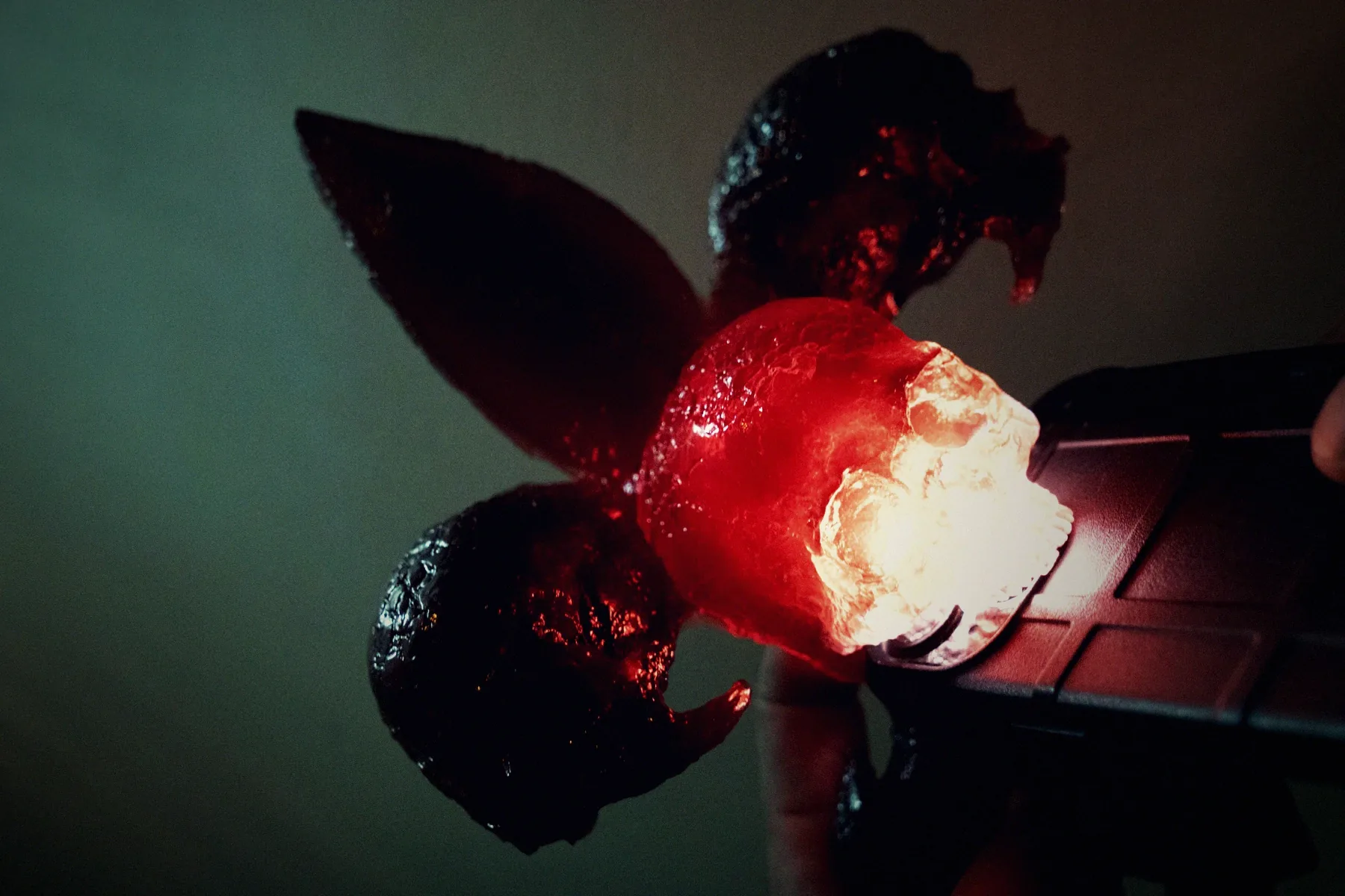 A fleur-de-lis built from skulls, cast in deep red translucent resin, mounted on a pale wall with its shadow beside it