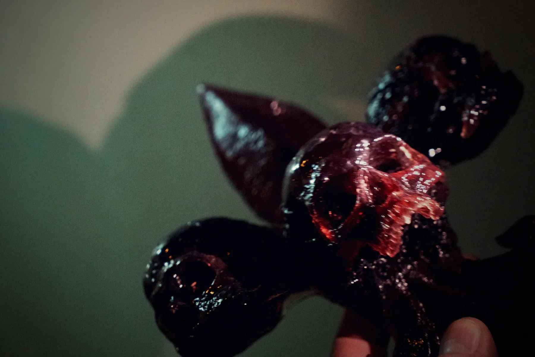 A fleur-de-lis built from skulls, cast in deep red translucent resin, mounted on a pale wall with its shadow beside it