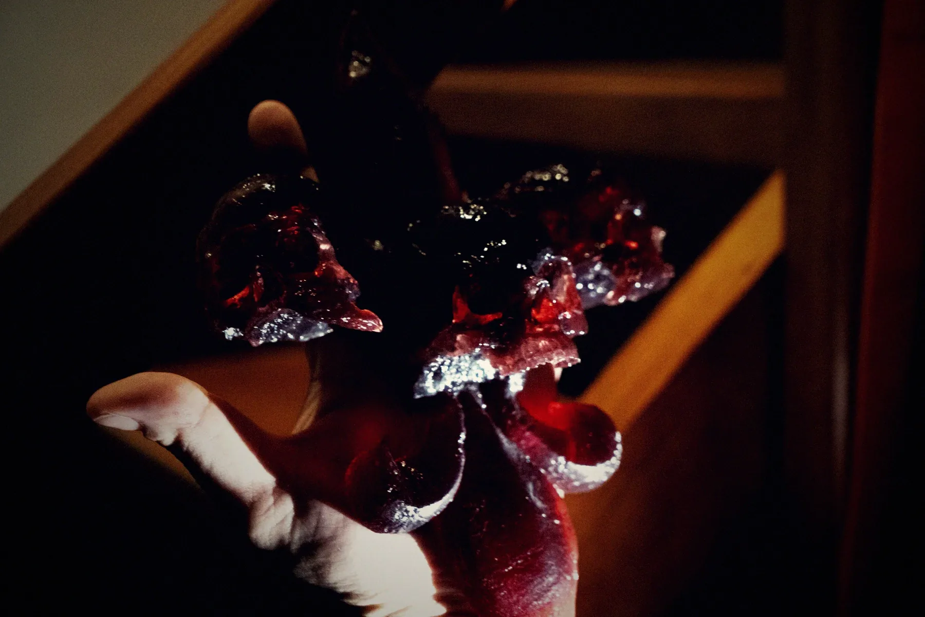 A fleur-de-lis built from skulls, cast in deep red translucent resin, mounted on a pale wall with its shadow beside it