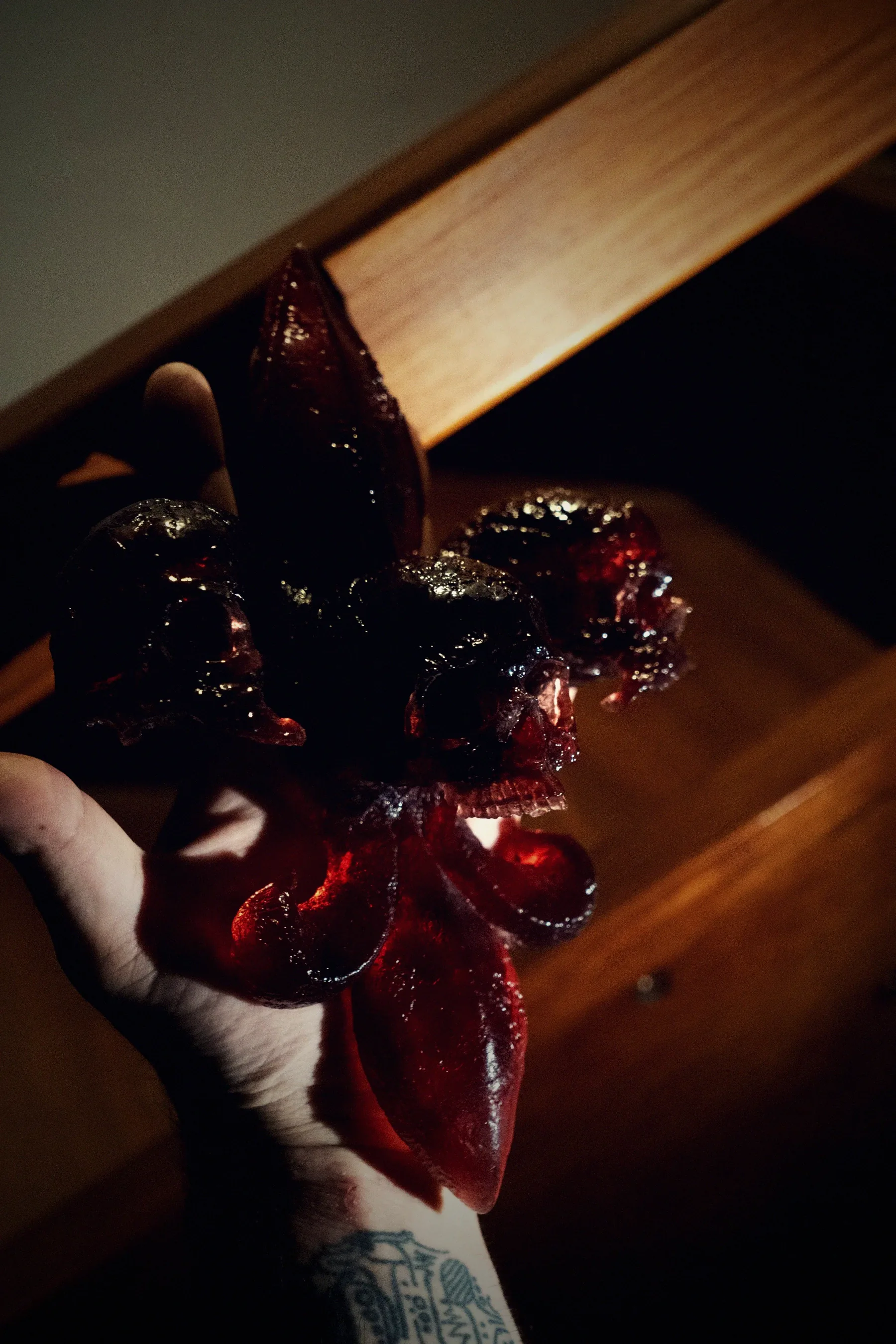 A fleur-de-lis built from skulls, cast in deep red translucent resin, mounted on a pale wall with its shadow beside it